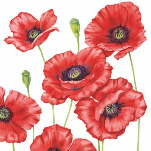 Luxury Paper Napkins Romantic Poppy 33x33cm by Ambiente-0